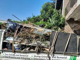 Trusted Magnolia, NC Junk Removal Experts