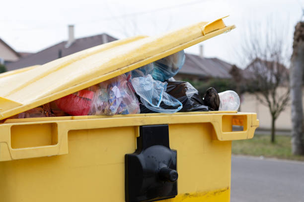 Best Dumpster Rental Services  in Magnolia, NC